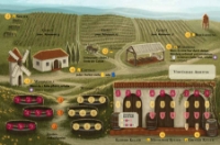 Bild von Viticulture Essential Edition (Feuerland Spiele)