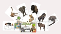 Bild von Manimals Serengeti-Park