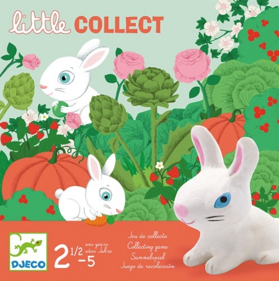 Bild von Little Collect (Djeco)