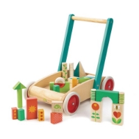 Bild von Lauflernwagen mit Klötzen (Tender Leaf Toys)