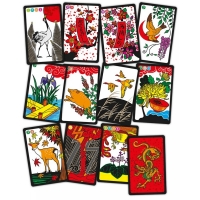 Bild von Hanafuda Koi Koi (Robin Red Games)