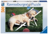 Bild von Puzzle - Golden Retriever 500 Teile