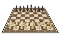 Bild von KASPAROV Wood Chess Set FSC