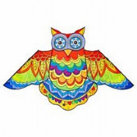 Bild von Drachen Jazzy Owl Kite